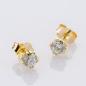 Preview: 0.50 ct Diamond Earrings in 585 Yellow Gold