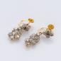 Preview: Ohrringe aus 585er Gold und Silber mit 0.40ct Diamantrosen