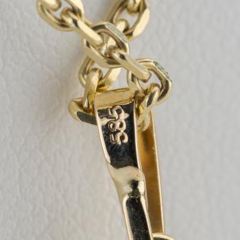 Preview: Anhänger aus 585er Gelbgold mit 7,43 ct Tansanit