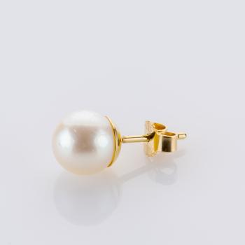 Preview: Pearl Earrings in 14K Yellow Gold