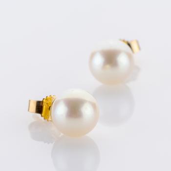 Pearl Earrings in 14K Yellow Gold